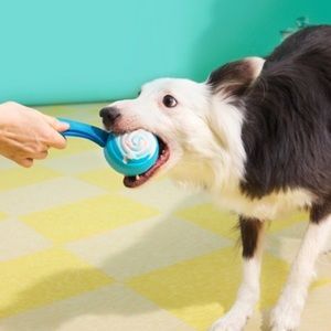 NWT Bark Box Super Chewer Toy Lolly Bop Pop Tug Dog Toy M Large